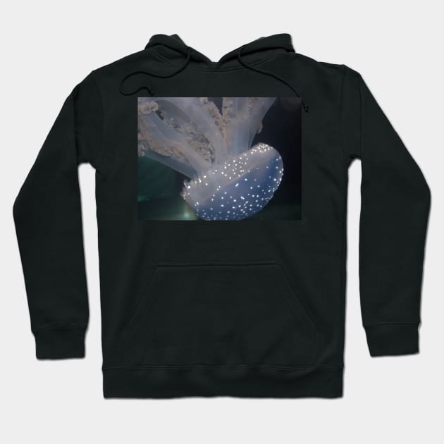 Speckled Jellyfish Photo Print And Others Hoodie by nhitori